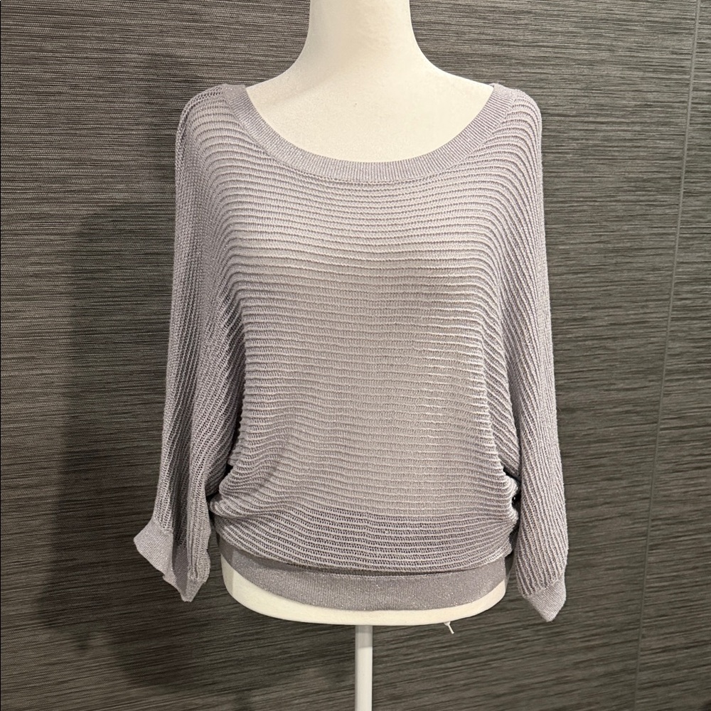 Express Light Gray and Silver Ribbed Dolman Sleeve Women’s Sweater